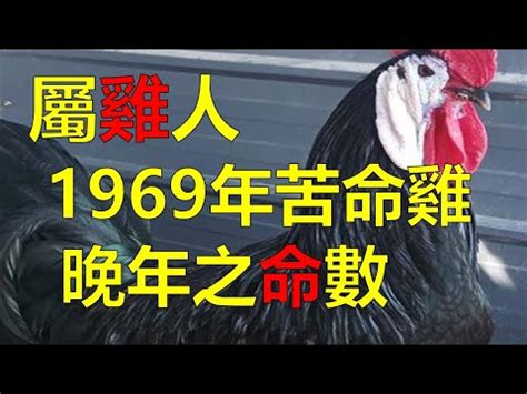 69年屬什麼|民國69年是西元幾年？民國69年是什麼生肖？民國69年幾歲？